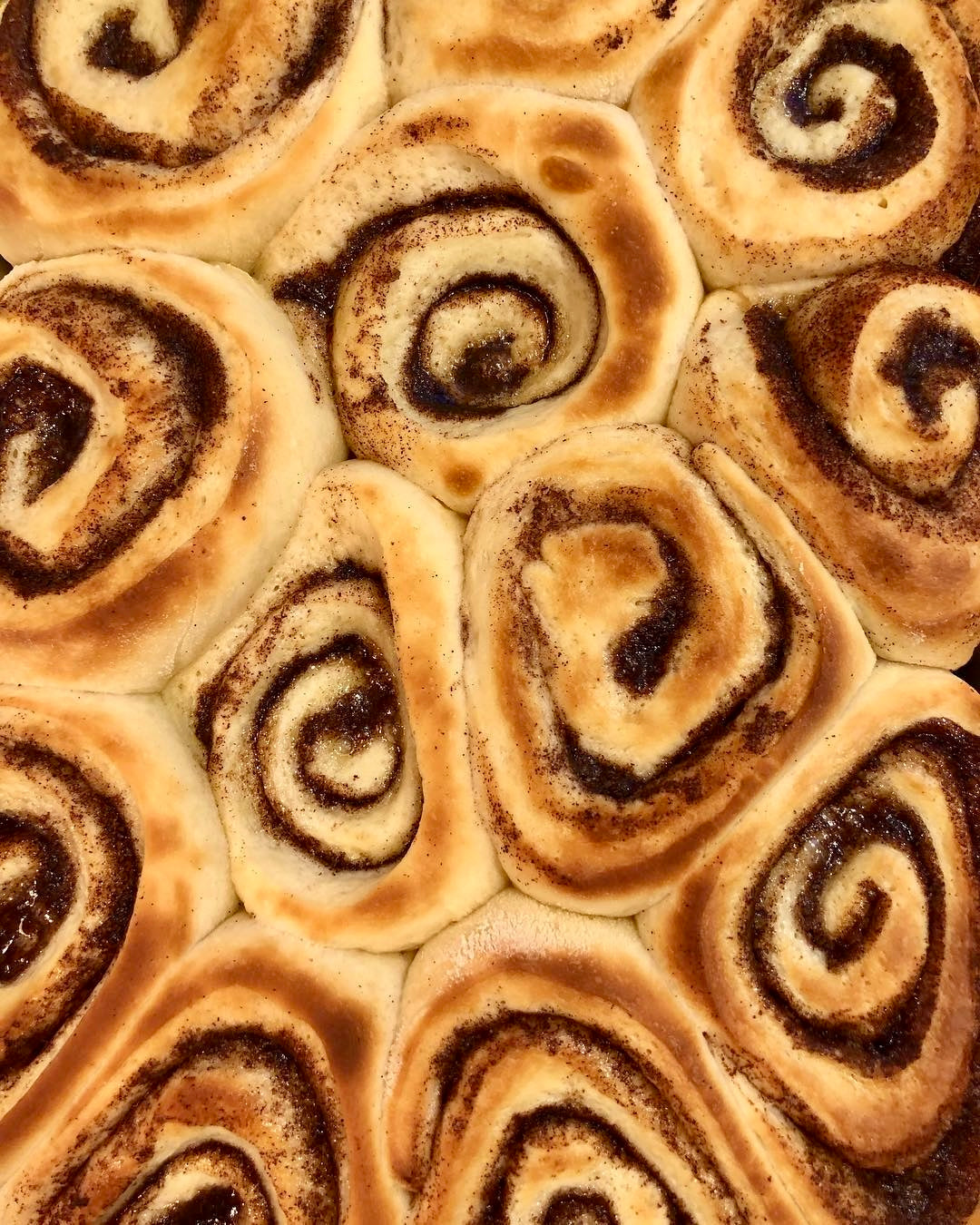Cinnamon Rolls - PRE ORDER