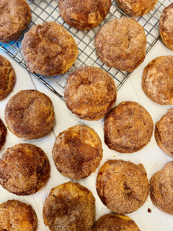 Apple Cider Donut